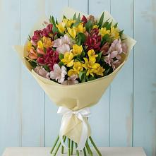 Букет цветов из:  Альстромерии #REPLACE_PRED# Краснокаменске Красноярского края
