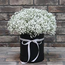 Цветочная композиция из Гипсофила в шляпной коробке #REPLACE_PRED# Краснокаменске Красноярского края