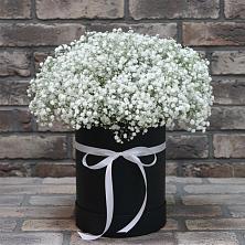 Цветочная композиция из Гипсофила в шляпной коробке в Краснокаменске Красноярского края