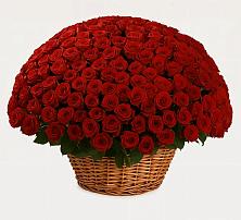 Премиум букет из: Розы в Краснокаменске Красноярского края